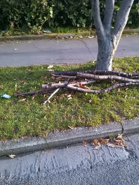 Rubbish/Recycling, a report photo