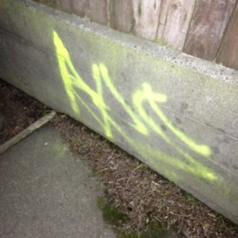 The photograph attached to this graffiti report