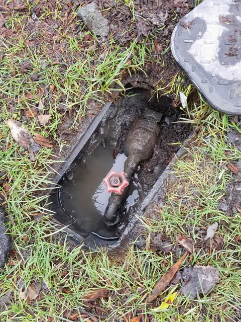 Water Supply, a report photo