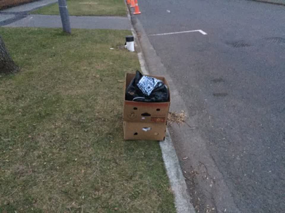 The photograph attached to this rubbish/recycling report