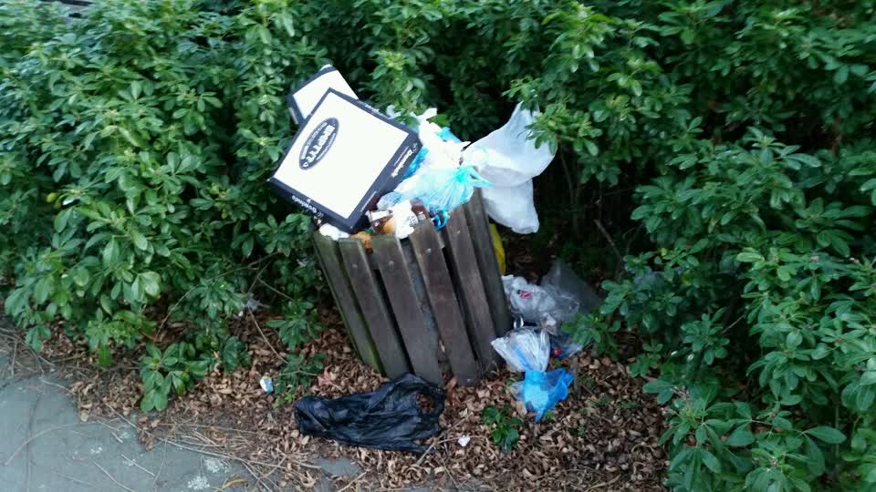 The photograph attached to this rubbish/recycling report