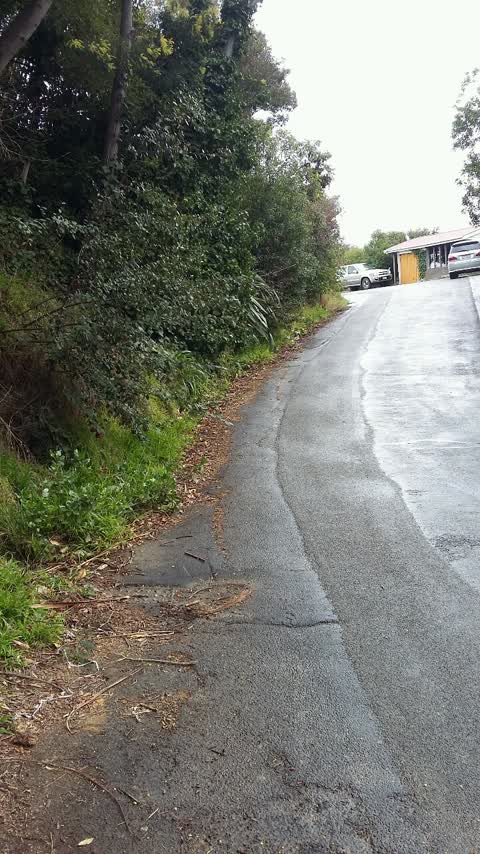 Roading/Streets, a report photo