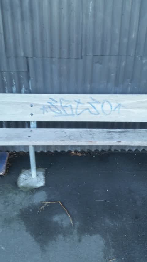 Graffiti, a report photo