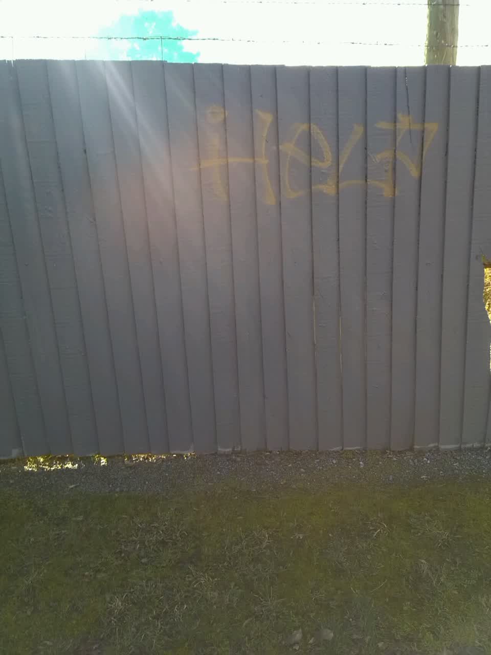 The photograph attached to this graffiti report