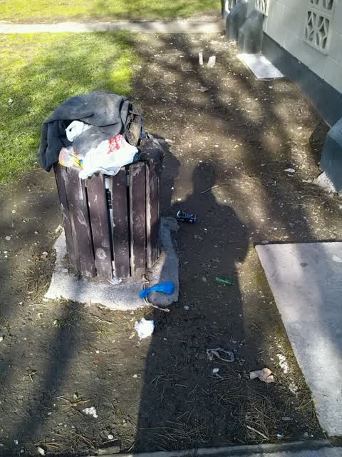 Rubbish/Recycling — a report photo