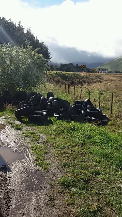 Rubbish/Recycling, a report photo