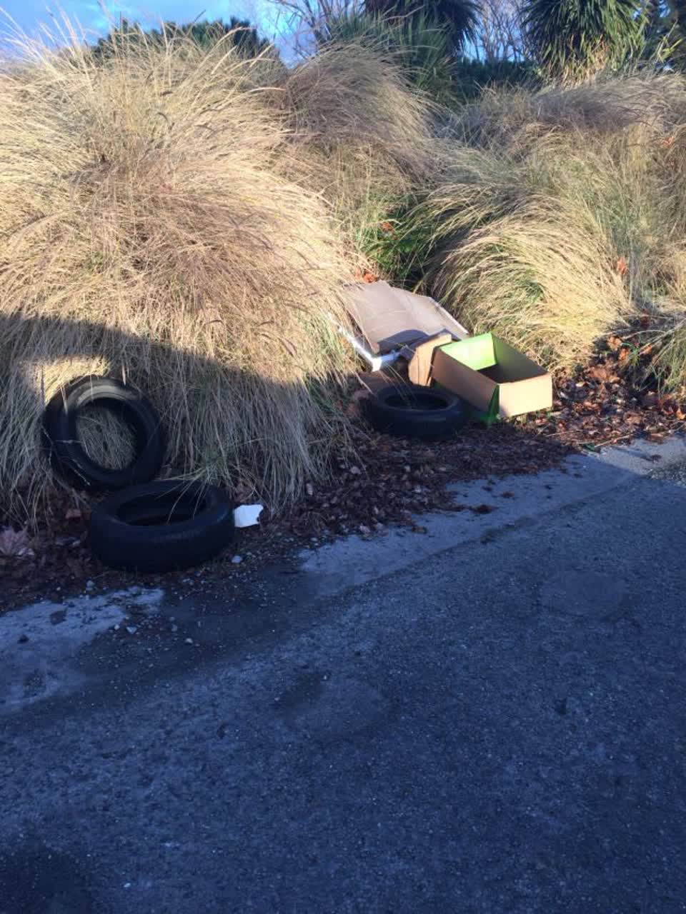 The photograph attached to this rubbish/recycling report