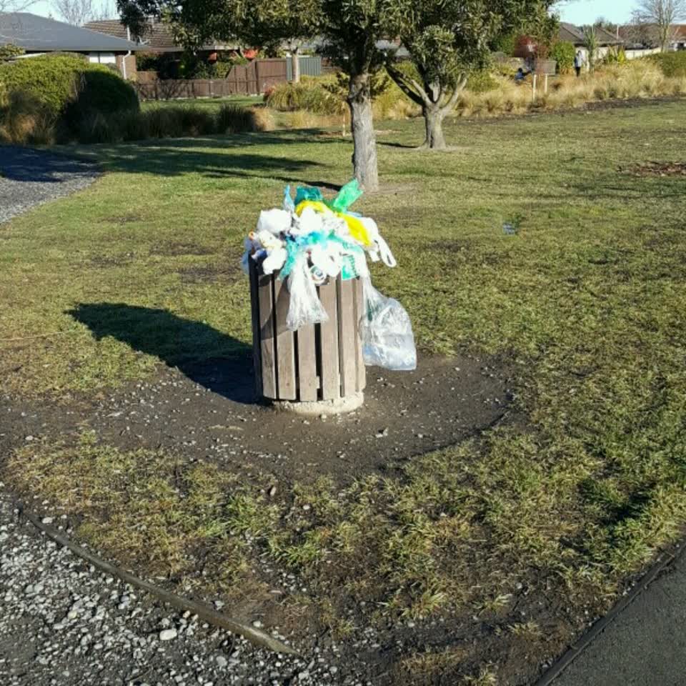 The photograph attached to this rubbish/recycling report