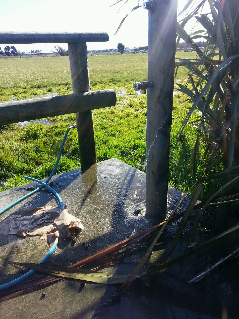 The photograph attached to this water supply report