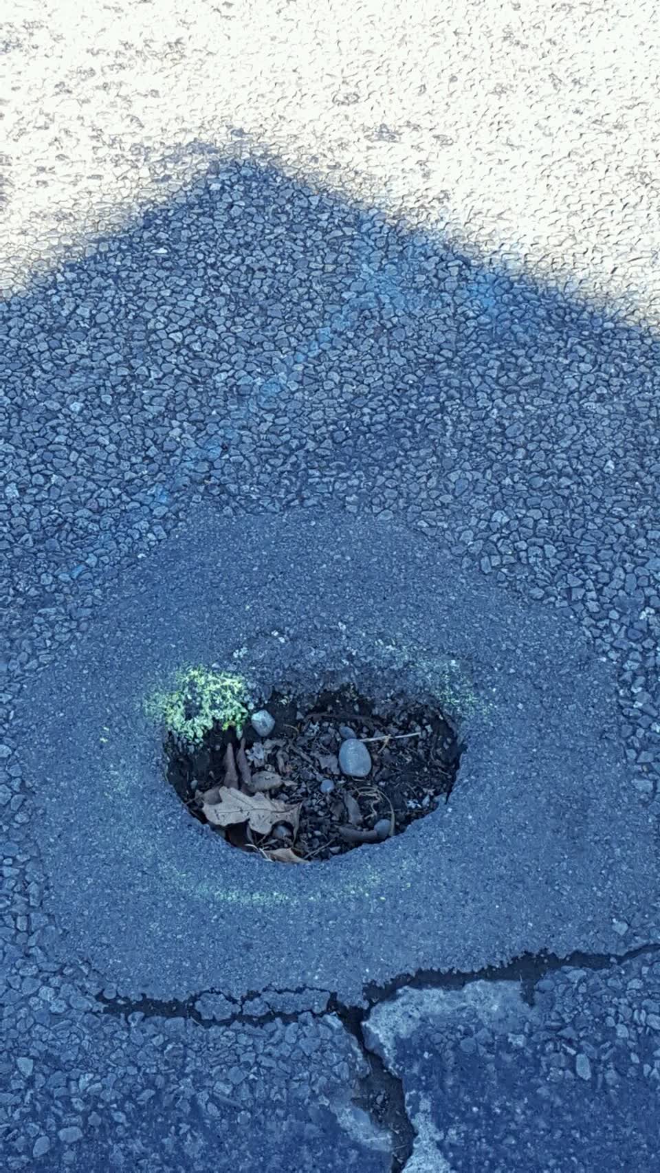 The photograph attached to this roading/streets report