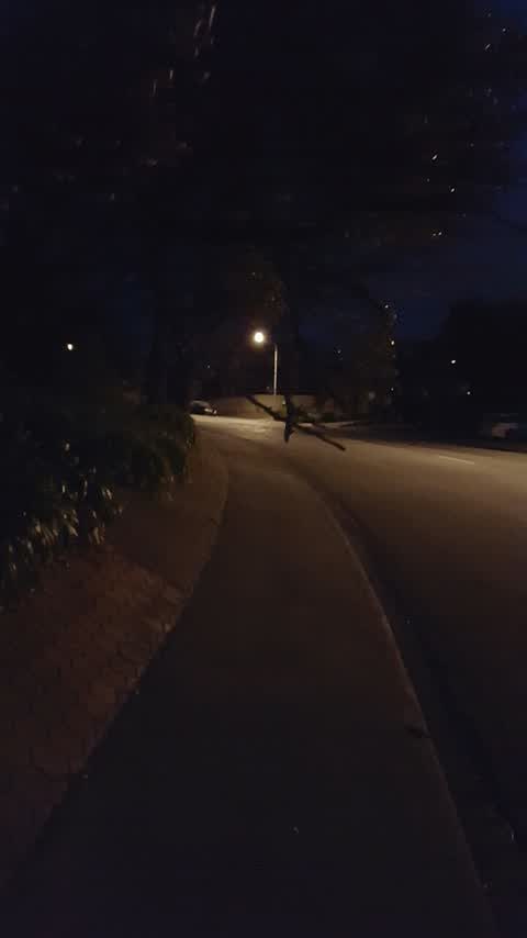Roading/Streets, a report photo