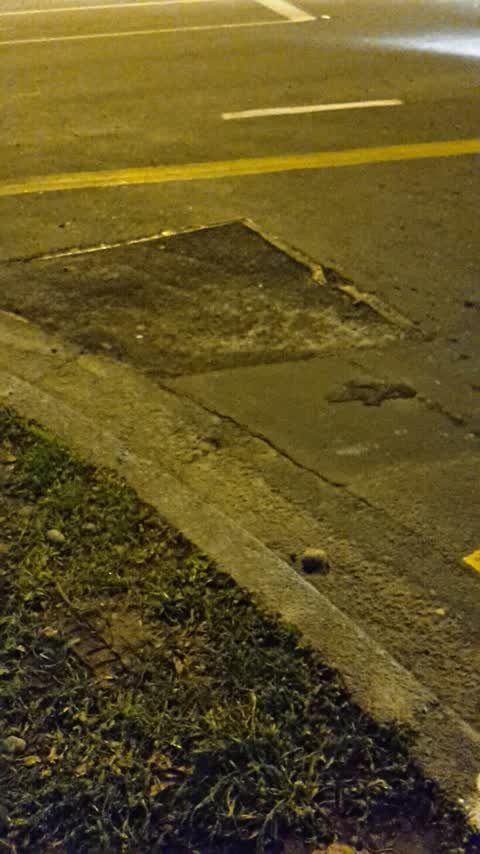 Roading/Streets, a report photo