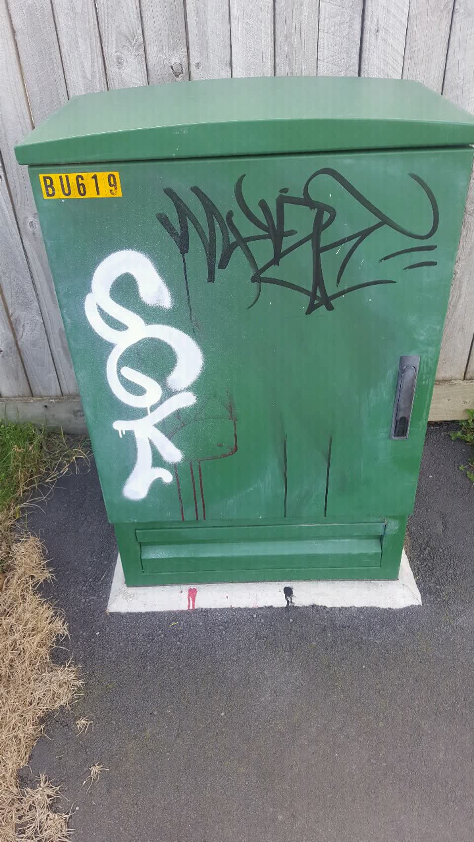 The photograph attached to this graffiti report