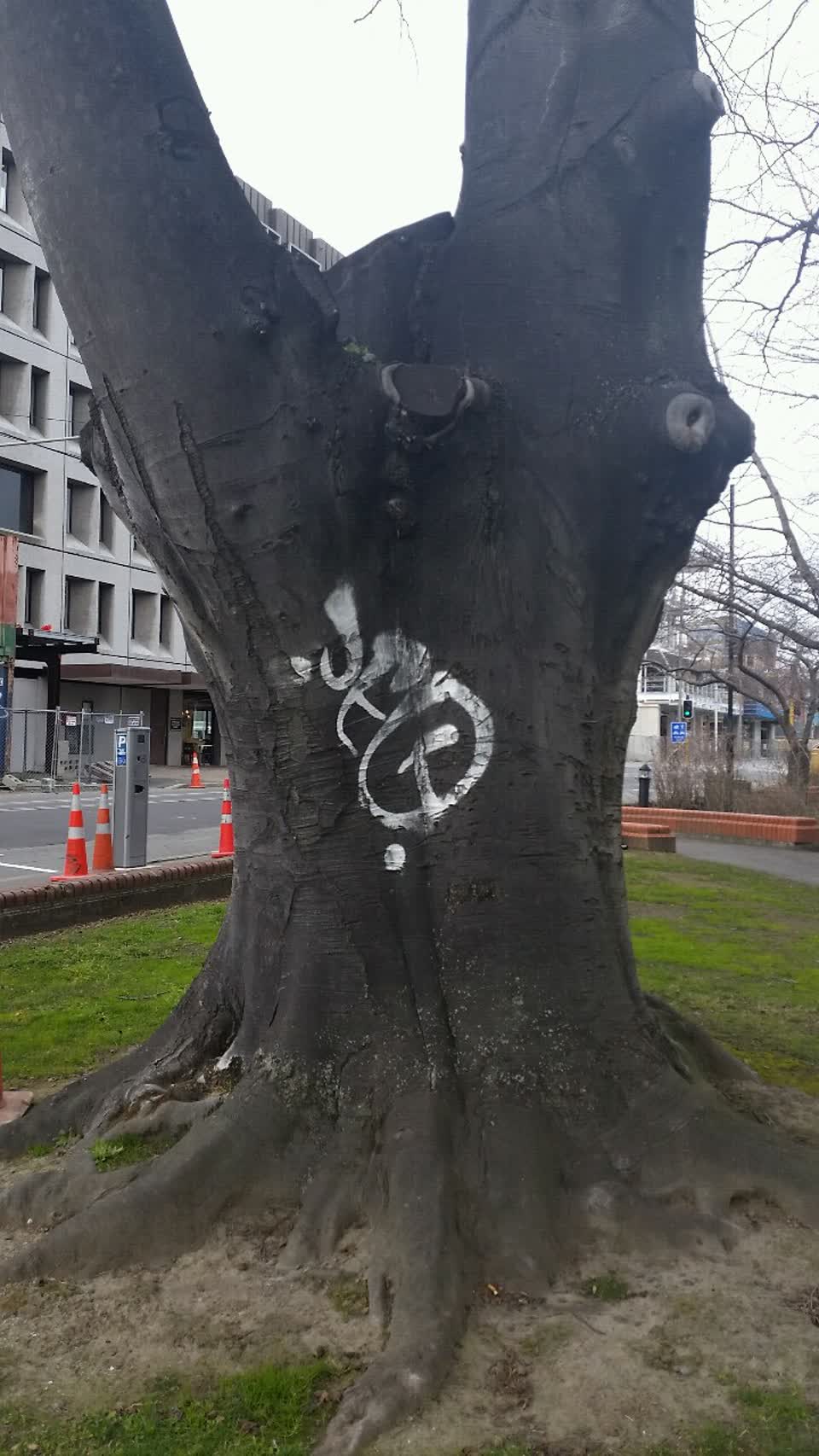 The photograph attached to this graffiti report