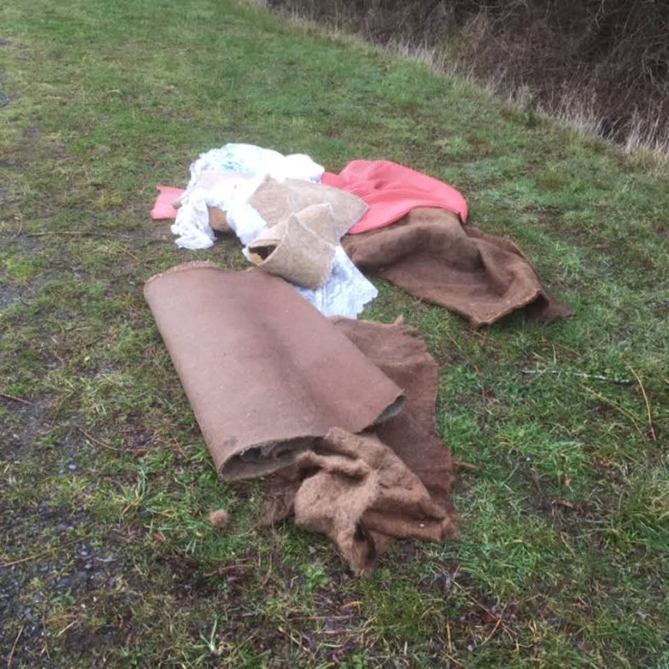 The photograph attached to this rubbish/recycling report