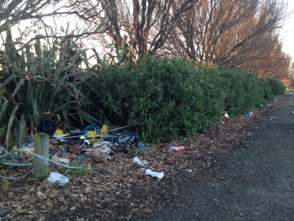 The photograph attached to this parks report