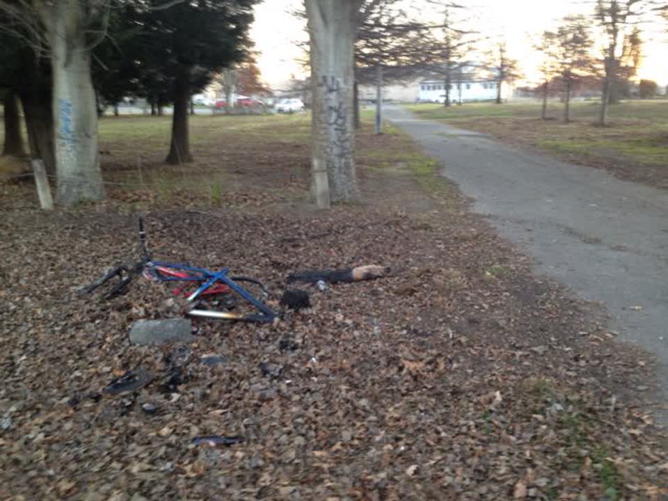 The photograph attached to this parks report