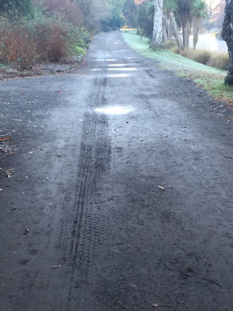 The photograph attached to this parks report