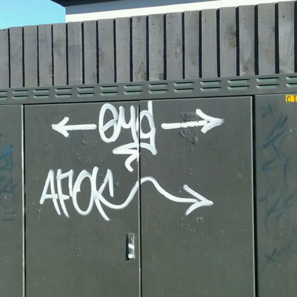 The photograph attached to this graffiti report