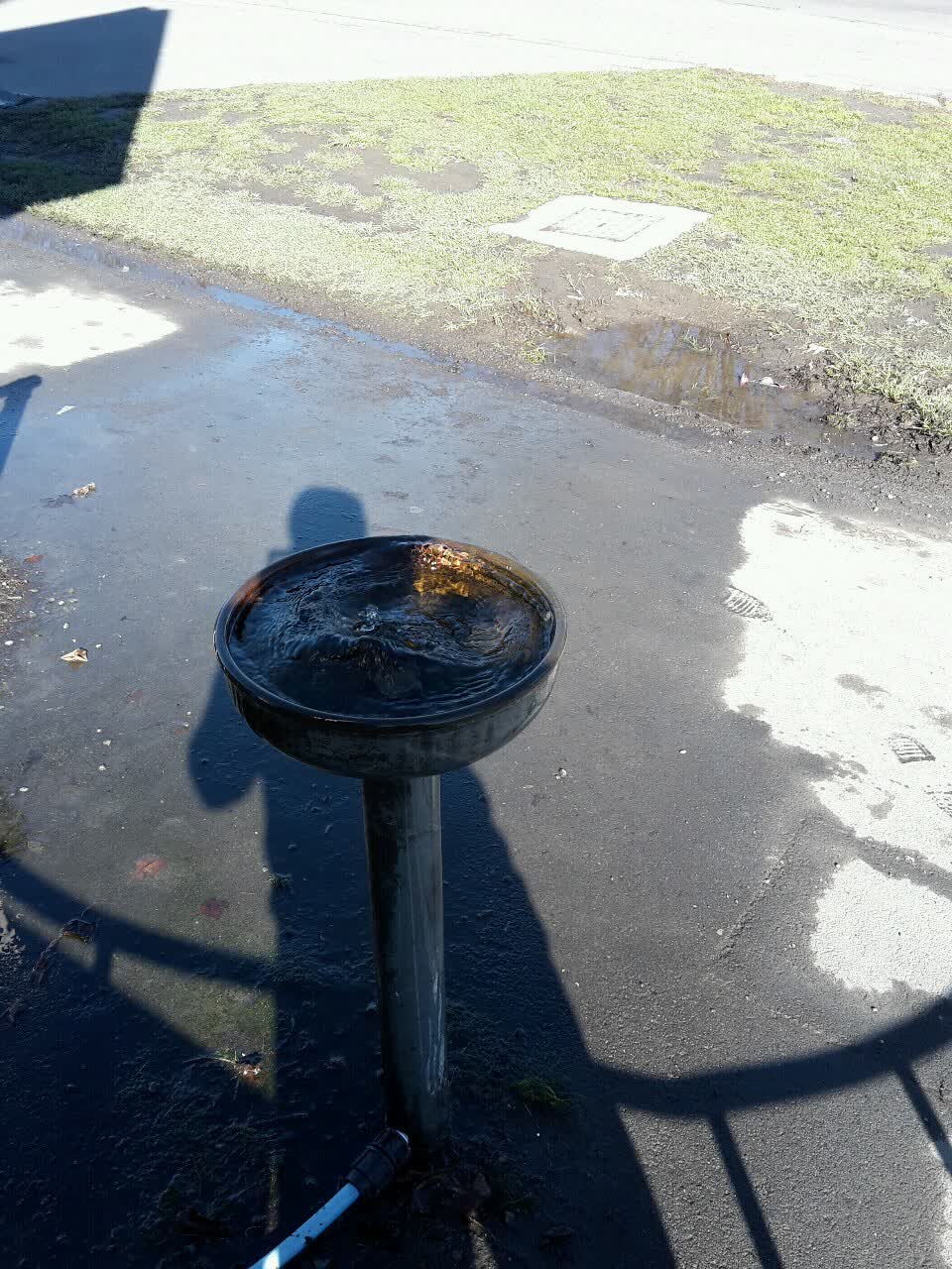 The photograph attached to this water supply report