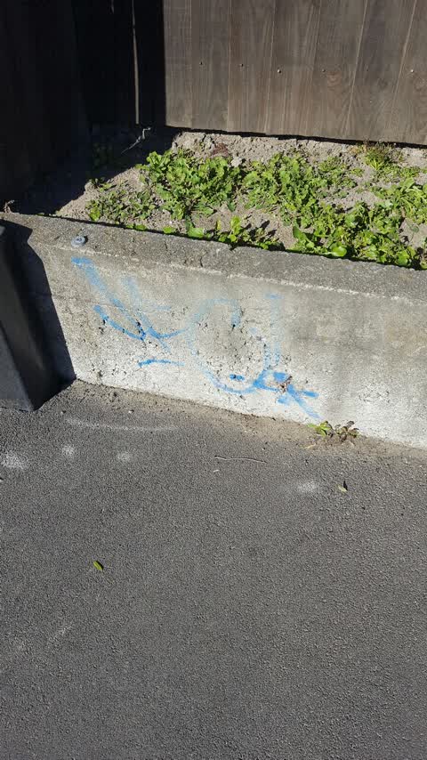 Graffiti, a report photo
