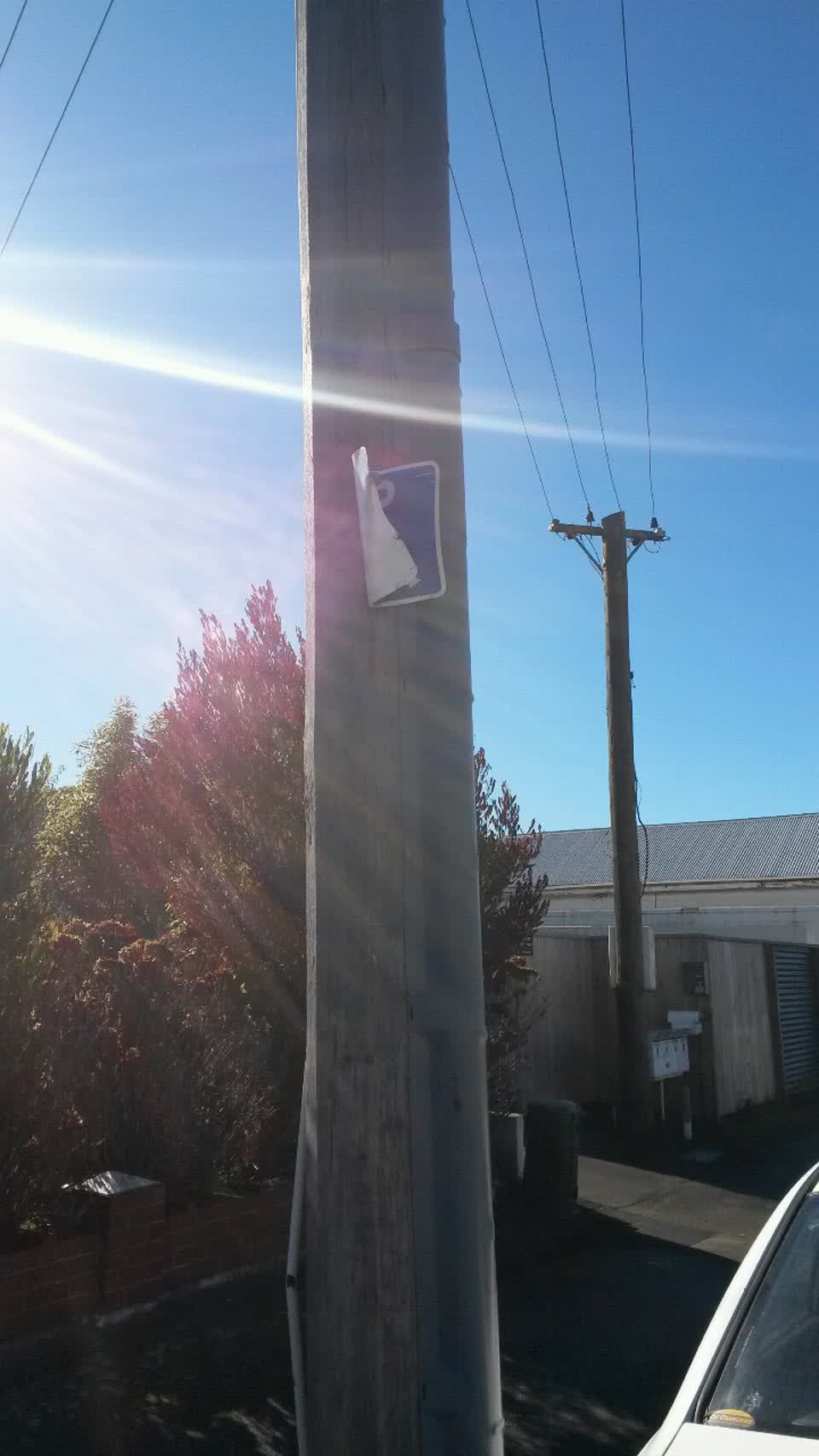 The photograph attached to this parks report