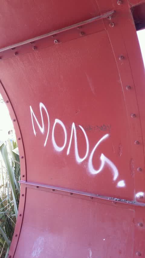 Graffiti, a report photo