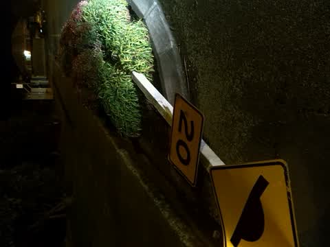 Roading/Streets, a report photo