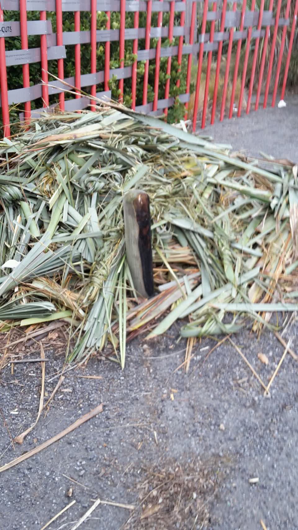 The photograph attached to this parks report