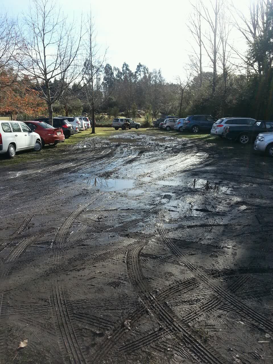 The photograph attached to this parks report