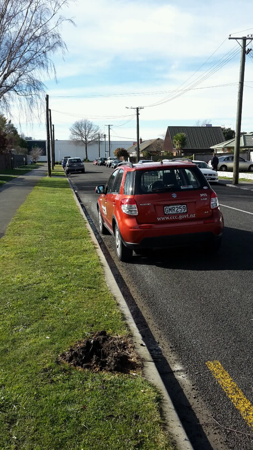 The photograph attached to this roading/streets report