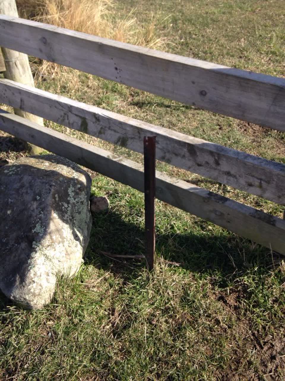 The photograph attached to this parks report