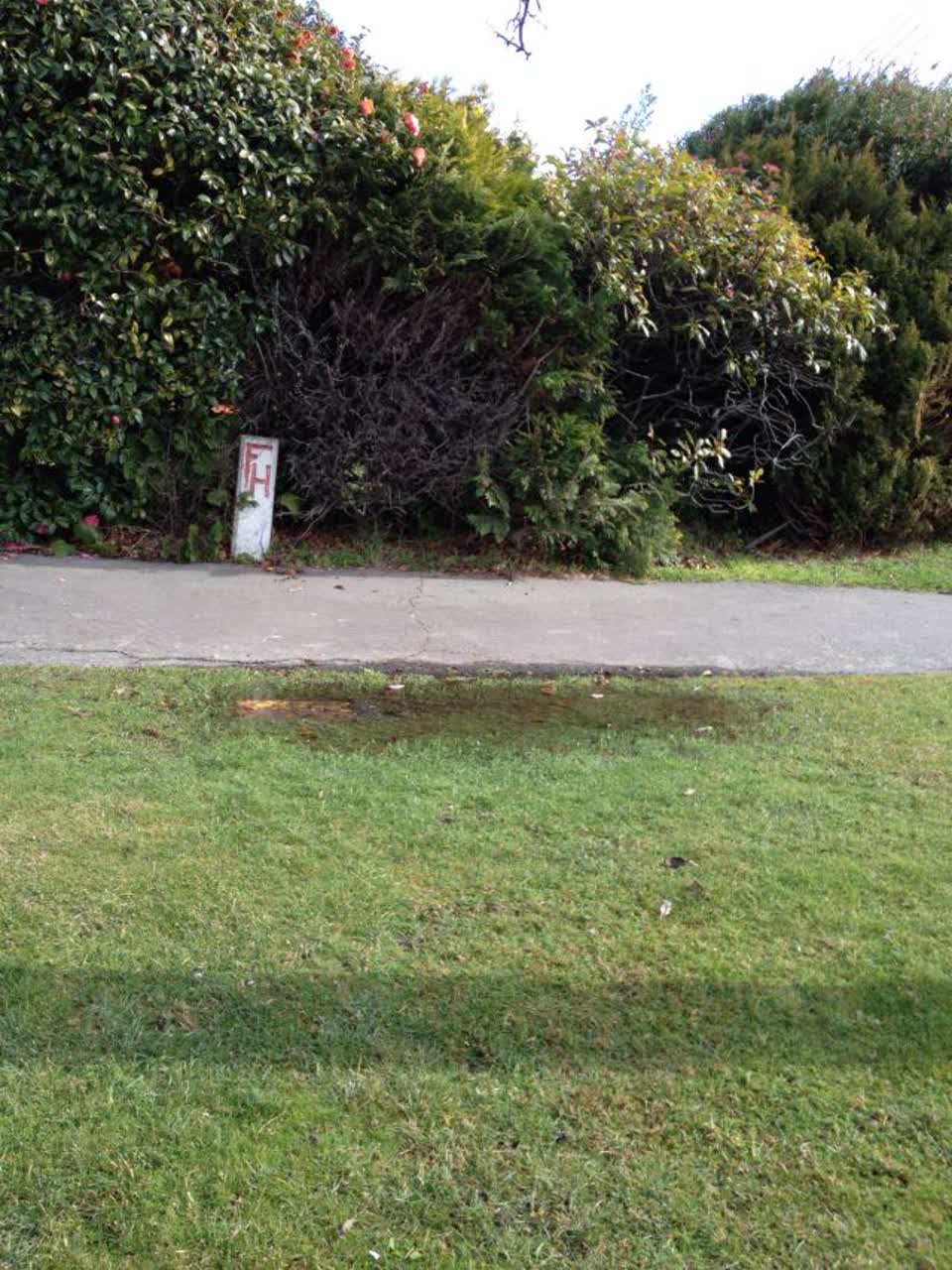 The photograph attached to this water supply report