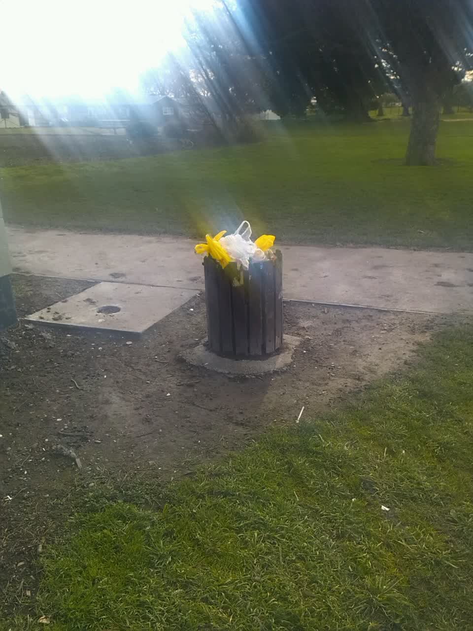 The photograph attached to this rubbish/recycling report