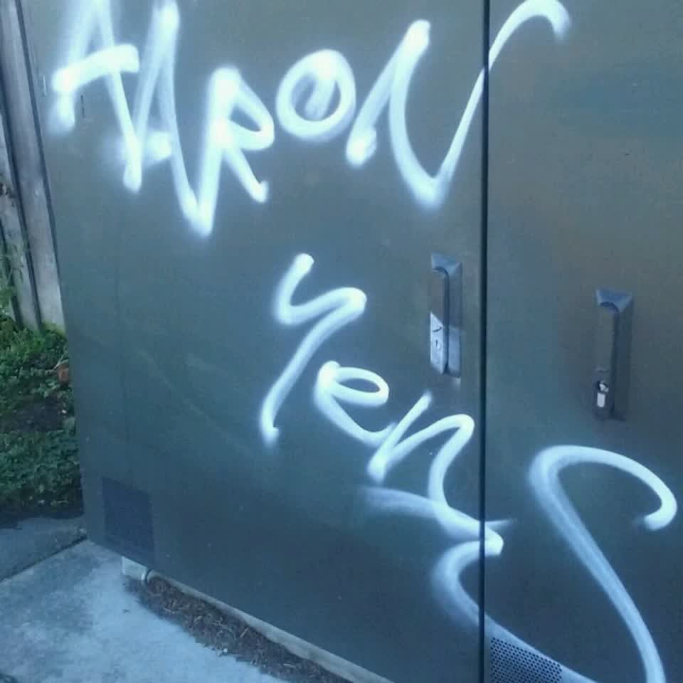 The photograph attached to this graffiti report
