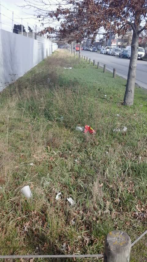 Rubbish/Recycling, a report photo