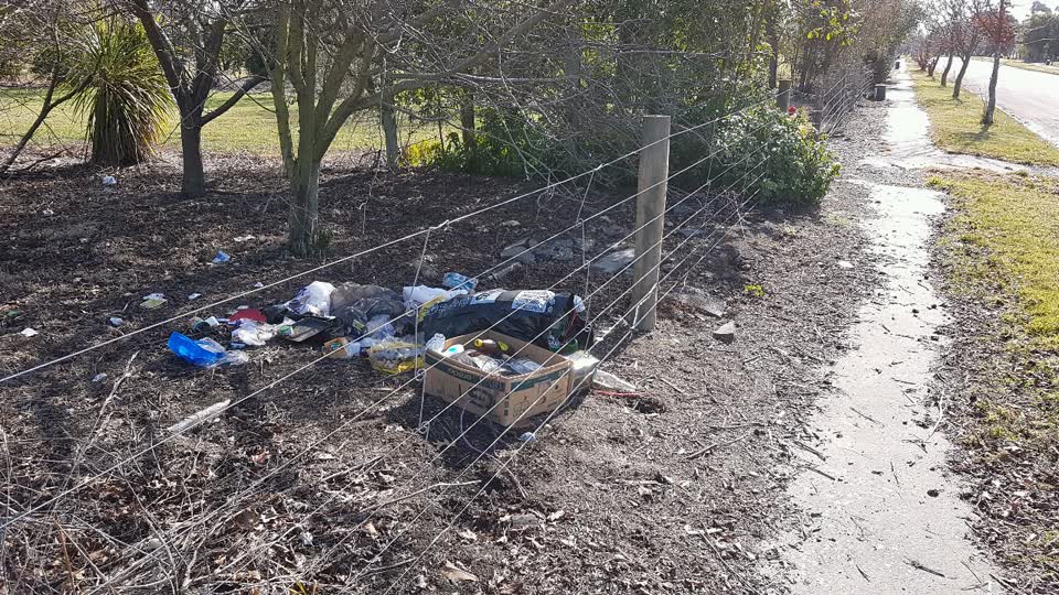 The photograph attached to this rubbish/recycling report