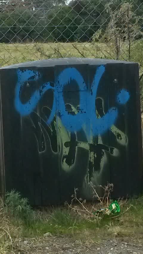 Graffiti, a report photo
