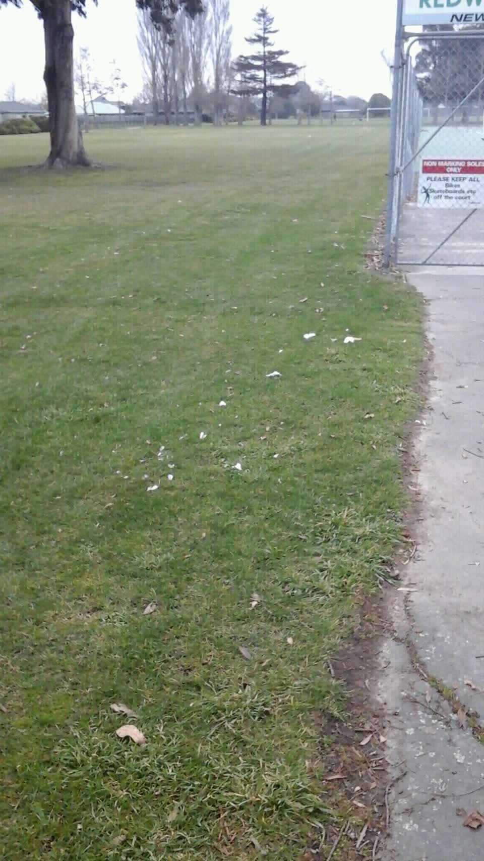 The photograph attached to this parks report