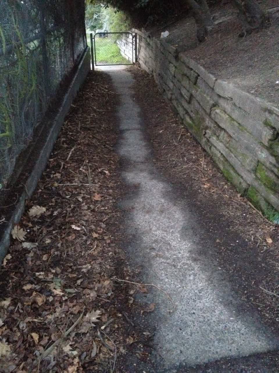 The photograph attached to this parks report
