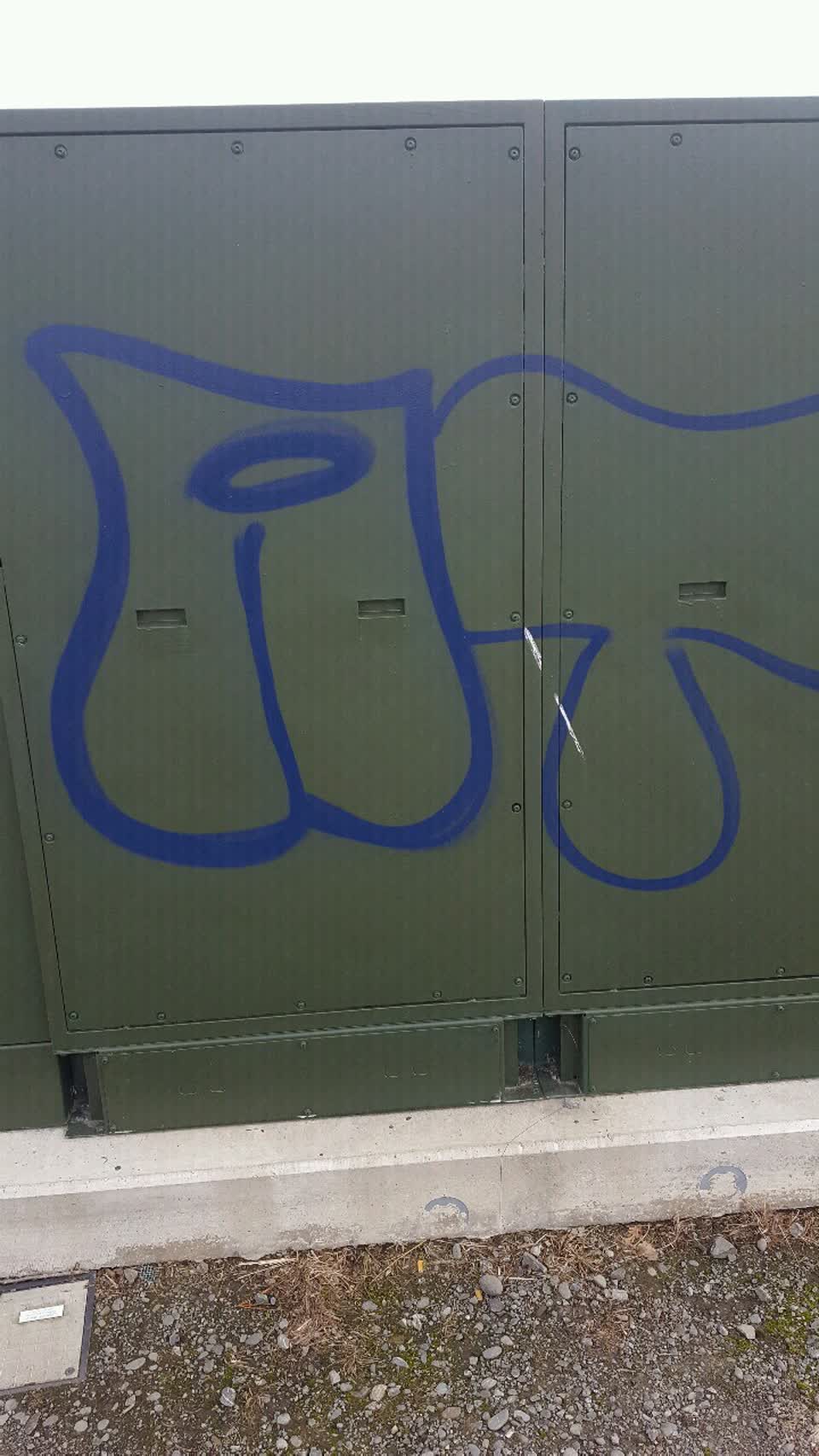 The photograph attached to this graffiti report