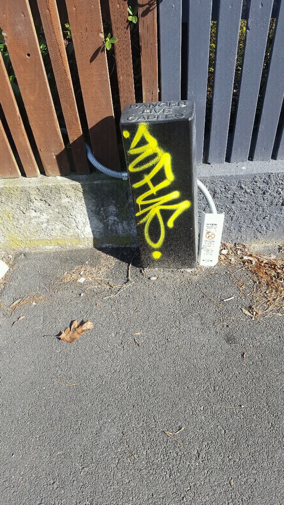 The photograph attached to this graffiti report