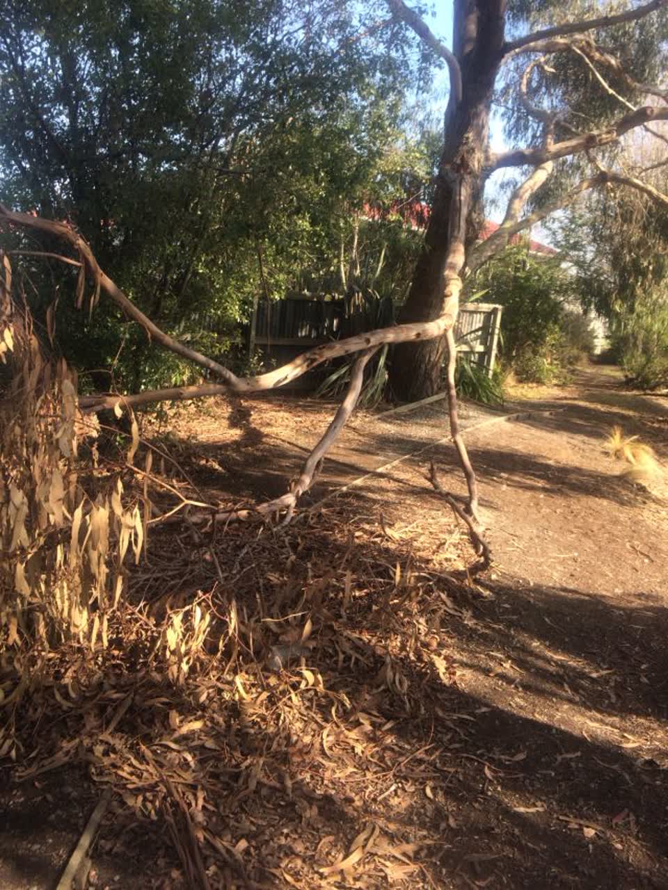 The photograph attached to this parks report