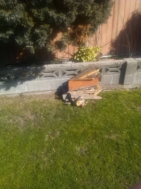 Rubbish/Recycling, a report photo