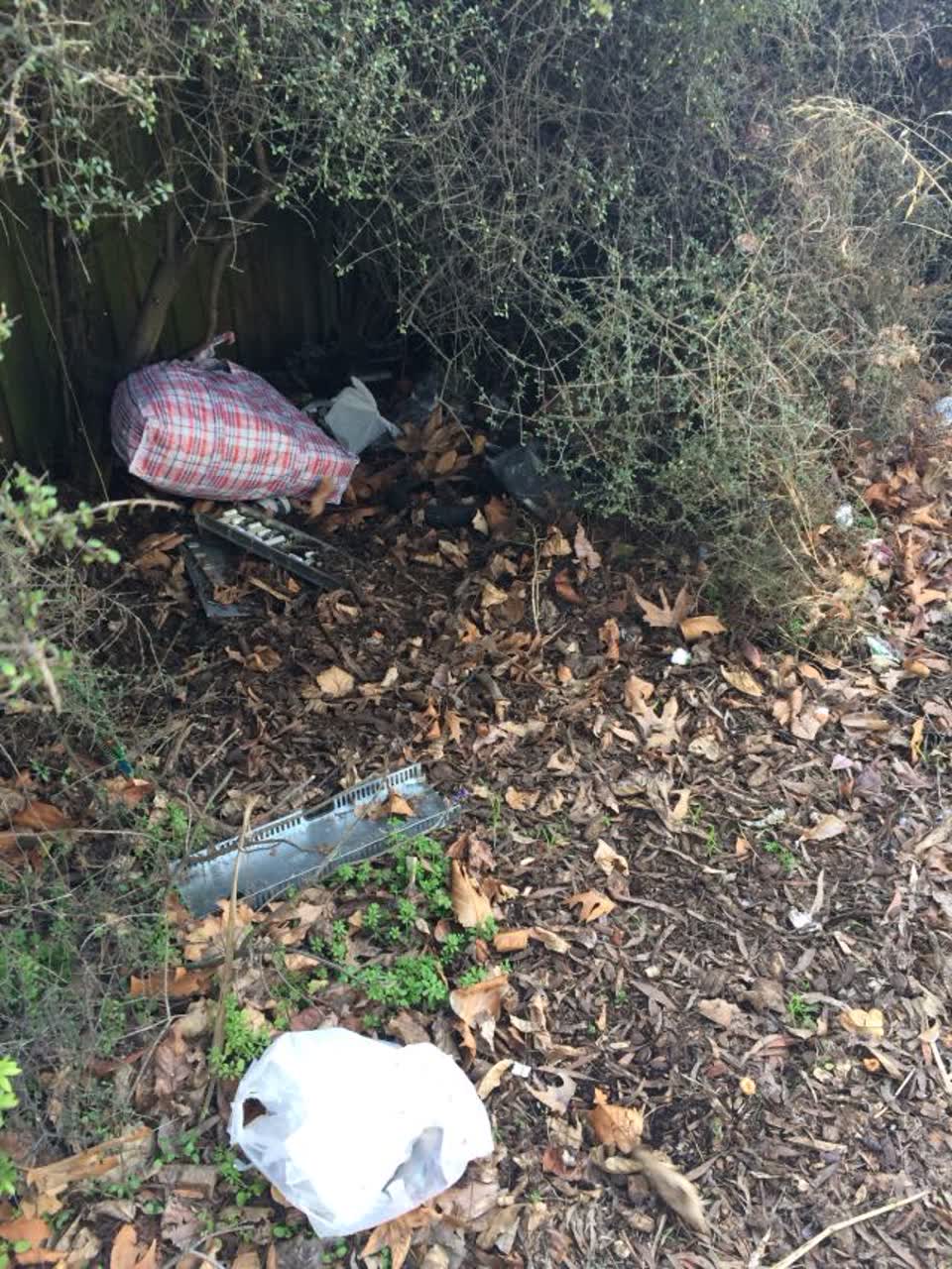 The photograph attached to this parks report