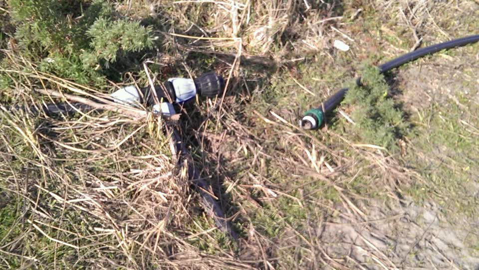 The photograph attached to this parks report