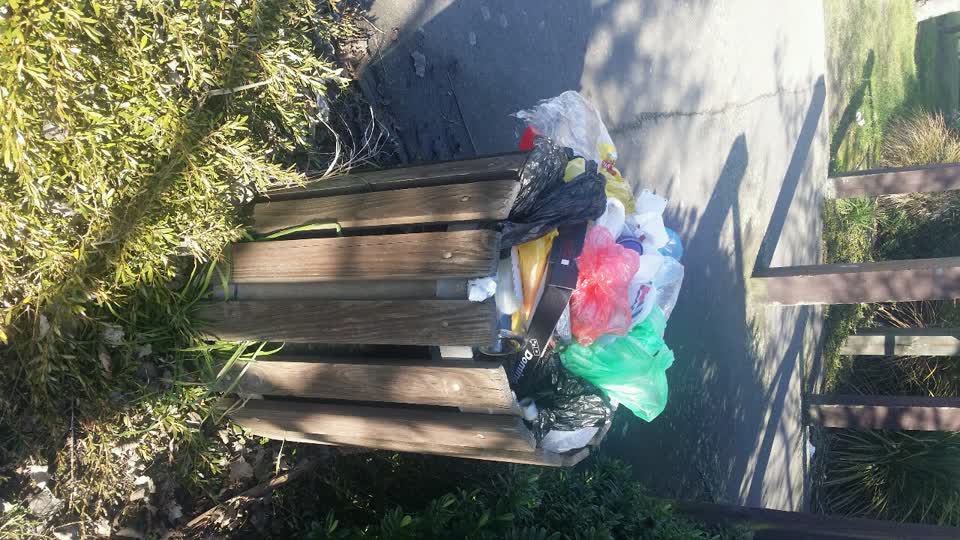 The photograph attached to this rubbish/recycling report