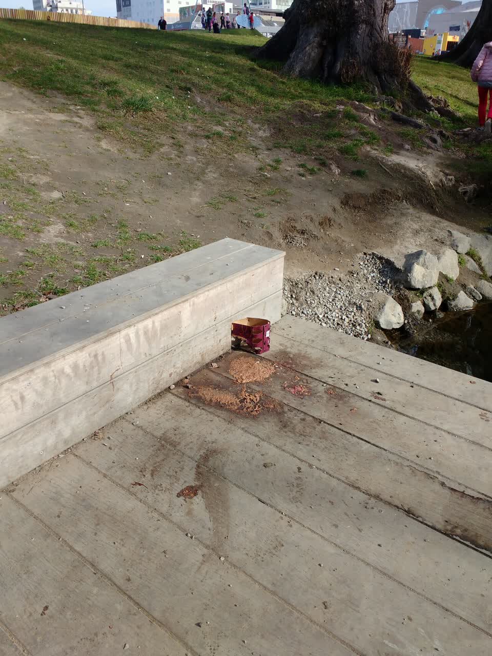 The photograph attached to this parks report