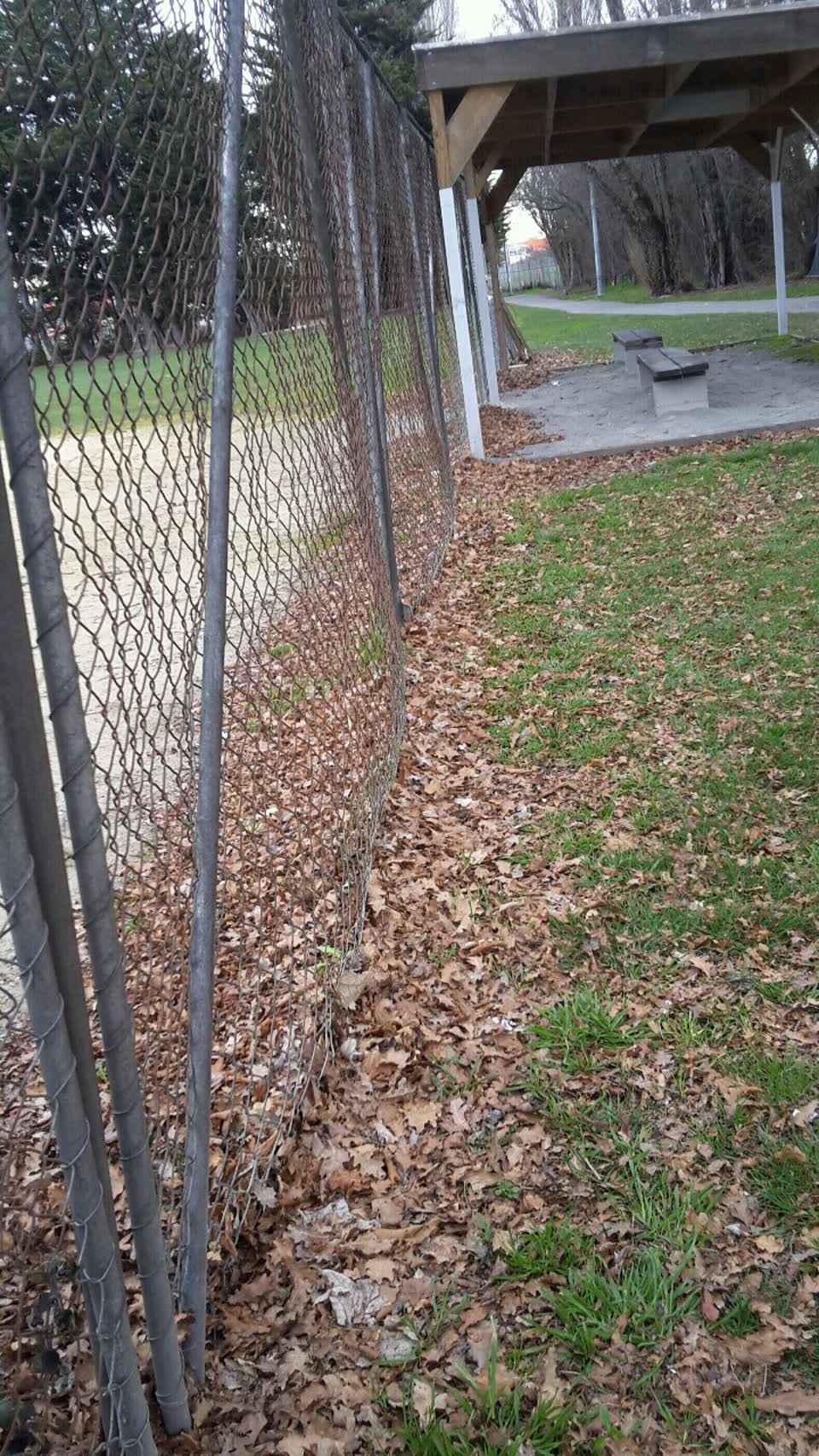 The photograph attached to this parks report