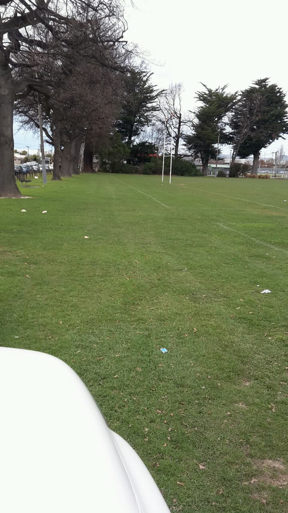 The photograph attached to this parks report
